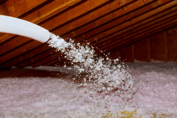 Best Types of Insulation in Hugo, OK